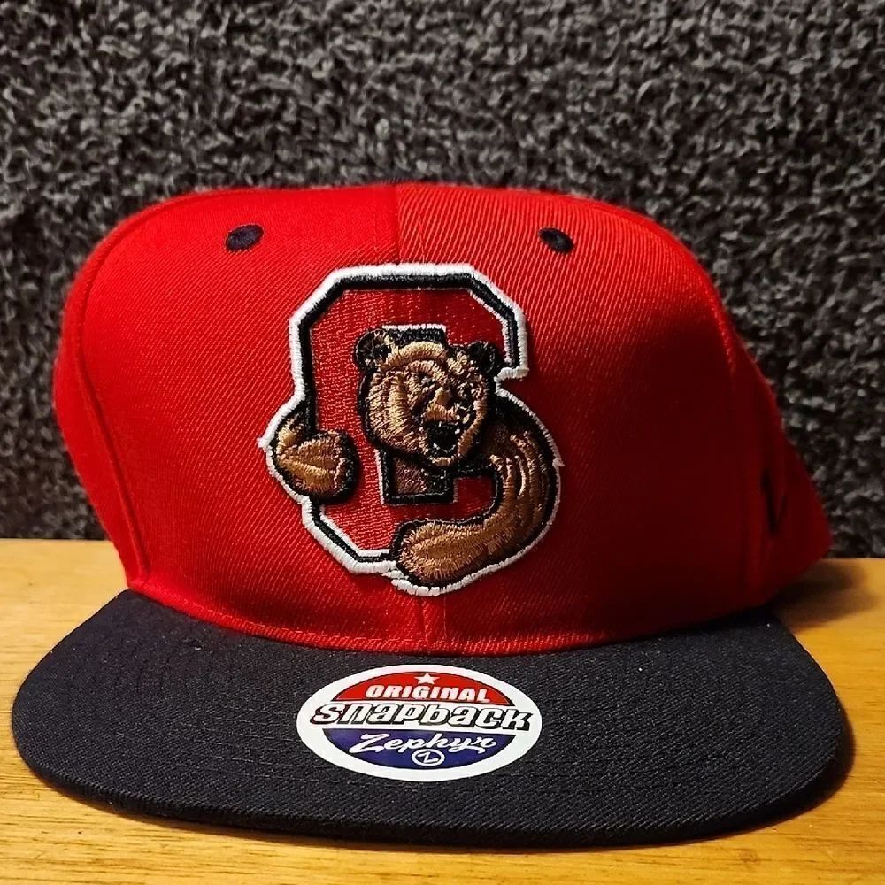 Zephyr Cornell Bears Snapback Hat - New